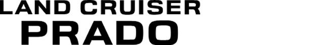 ロゴ_PASSO