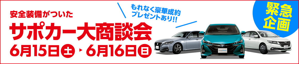 サポカー大商談会
