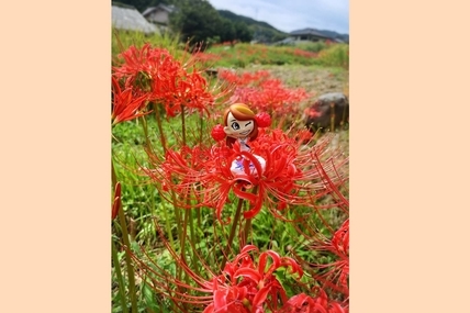 KANAフォトコンテスト37