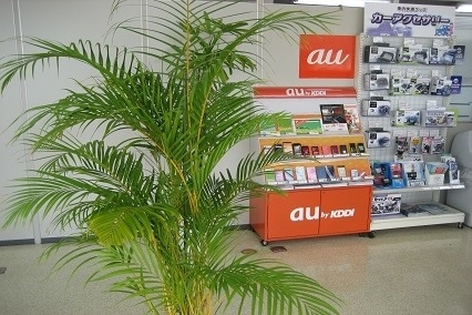 柳川店ショールーム