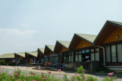 エコランCHECK POINTコスモス広場