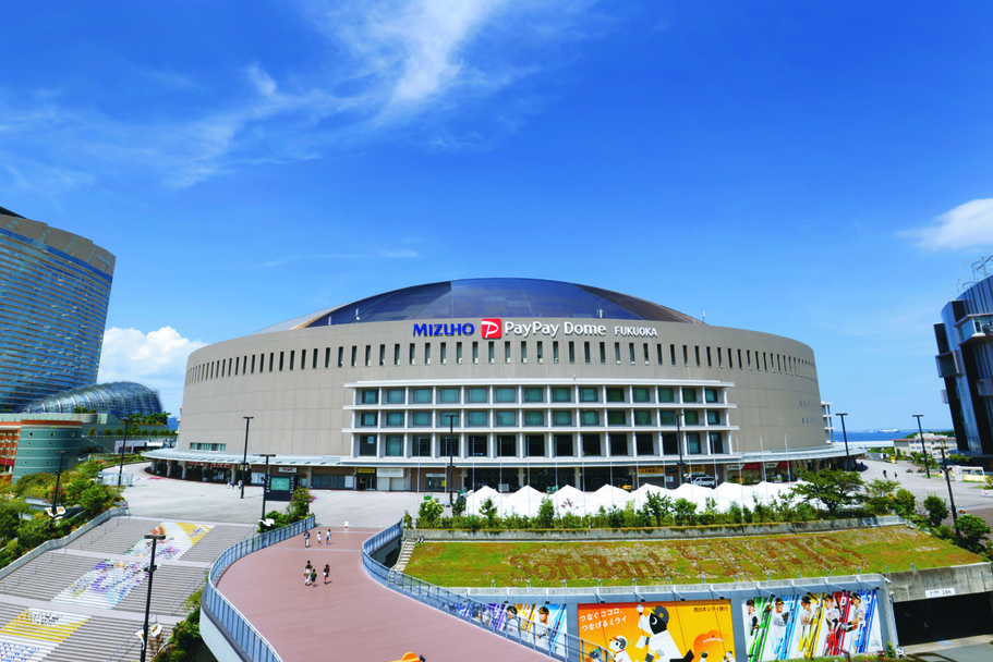 福岡トヨタフェス_ドームチケット