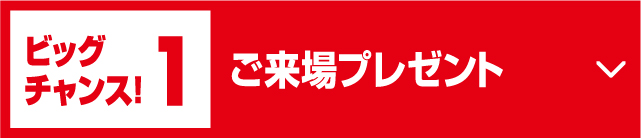 ビッグチャンス!1ご来場プレゼント