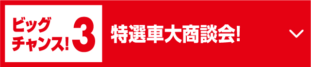 ビッグチャンス!3特選車大商談会!