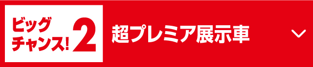 ビッグチャンス!2超プレミア在庫車