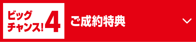 ビッグチャンス!4ご成約特典