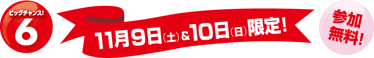 11月9日（土）&10日（日）限定!