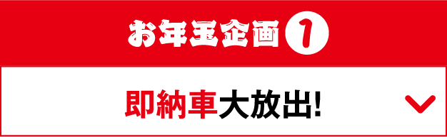 お年玉企画1