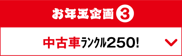 お年玉企画3