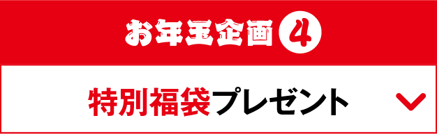 お年玉企画4