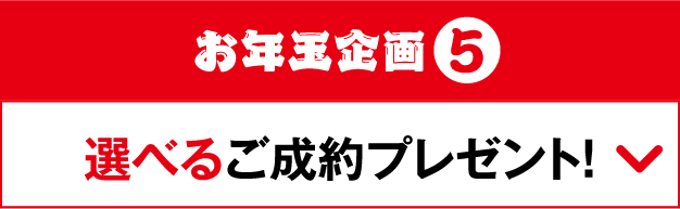 お年玉企画5
