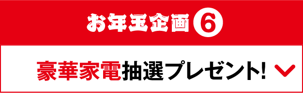 お年玉企画6