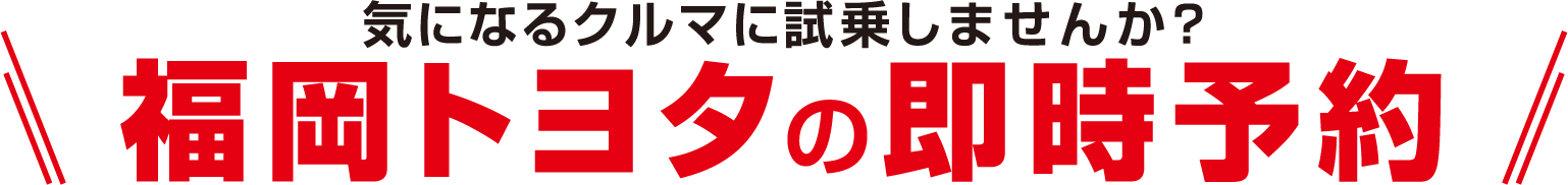お年玉企画1
