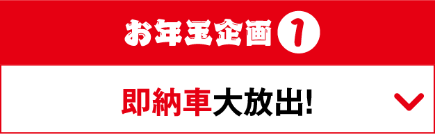 お年玉企画1