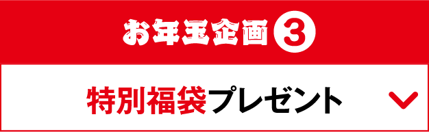 お年玉企画3