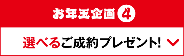 お年玉企画4