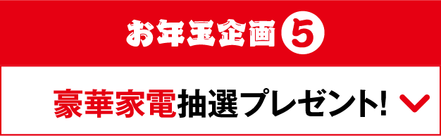 お年玉企画5