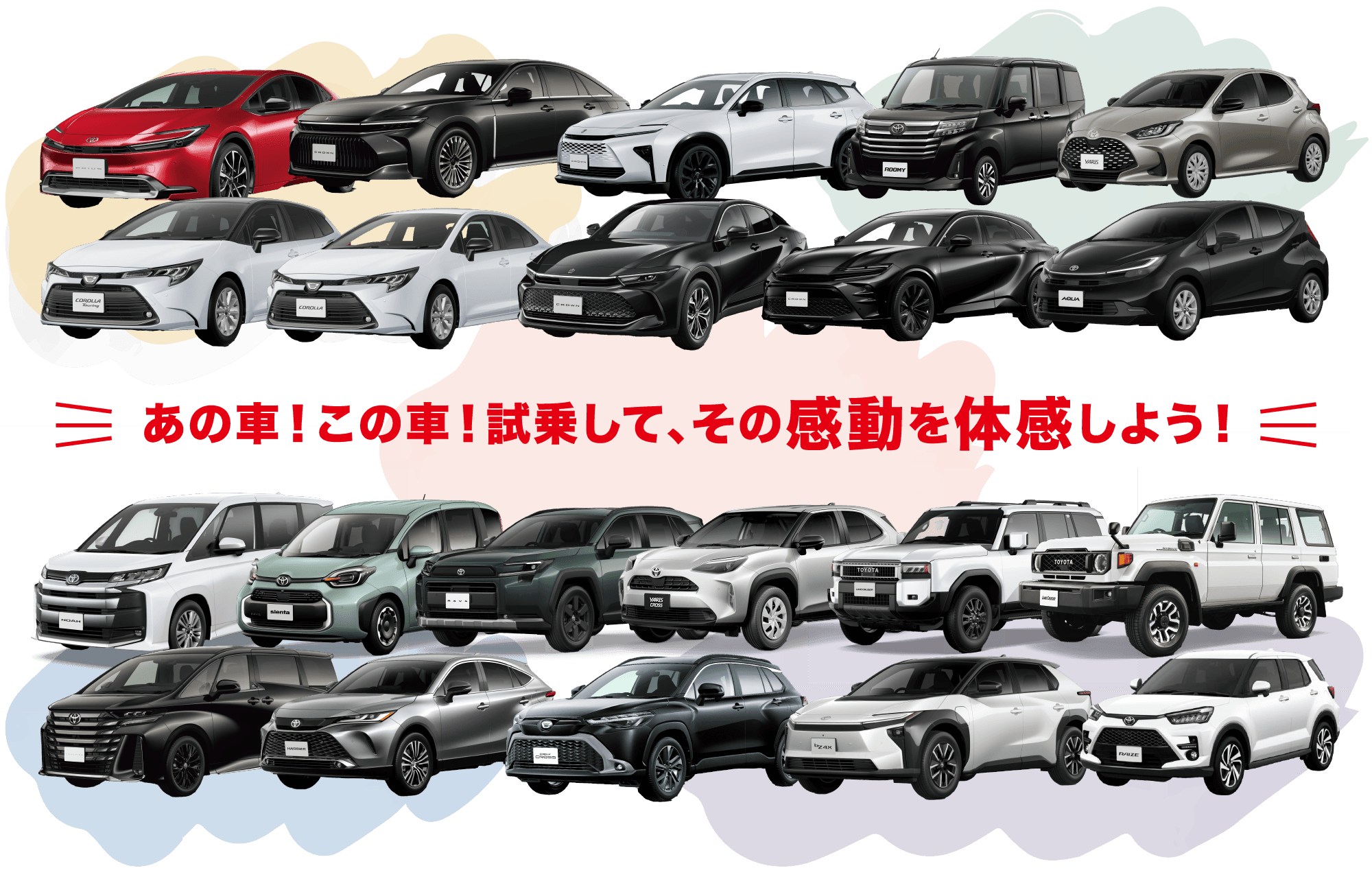 あの車！この車！試乗して、その感動を体感しよう！