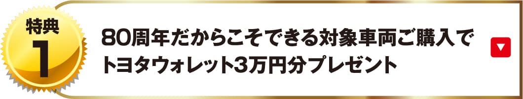 80周年だからこそできる対象車両ご購入でトヨタウォレット3万円分プレゼント