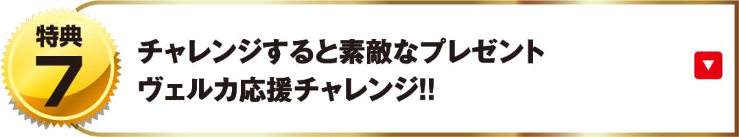 チャレンジすると素敵なプレゼントヴェルカ応援チャレンジ!!