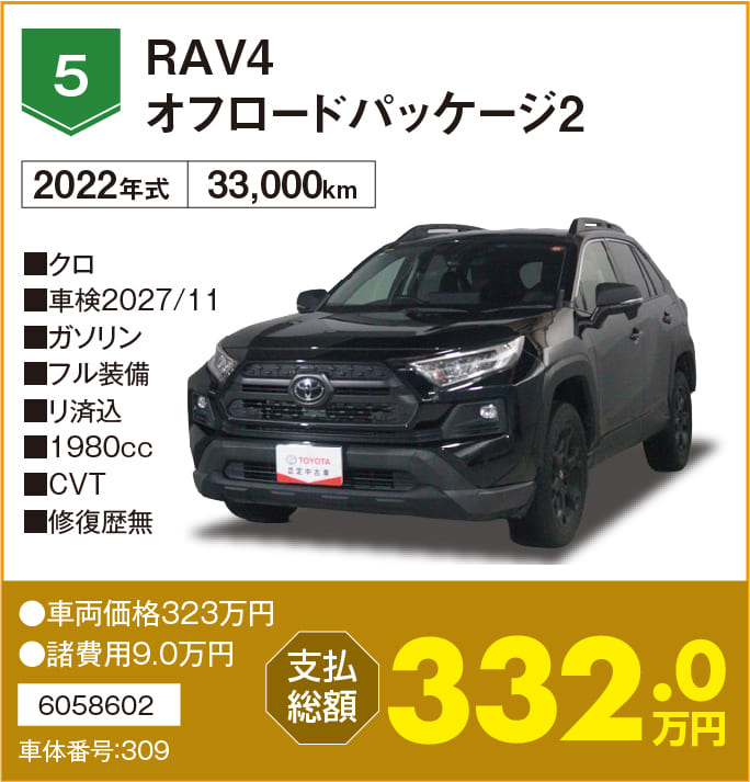 RAV4オフロードパッケージ2
